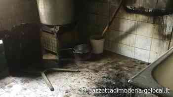 Mirandola Incendio notturno nel canile Cucina bruciata e inagibile - La Gazzetta di Modena