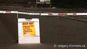 North Glenmore Park closed due to bear warning