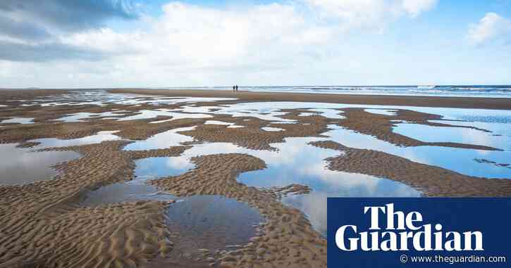 Country diary: an immense space studded with razor shells