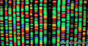 Best DNA test for 2020: 23andMe vs. AncestryDNA and more     - CNET
