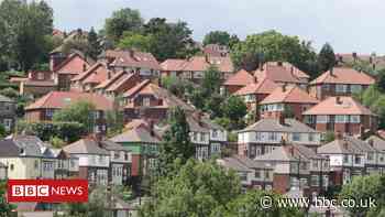 Gardens help towns and cities beat countryside for tree cover