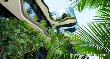 These 'green buildings' showcase the possibilities of sustainable architecture - Opumo