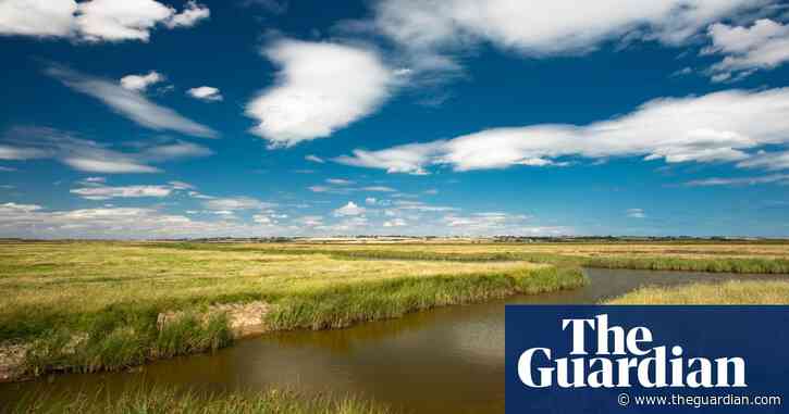 Anger as Environment Agency executive takes job at Southern Water