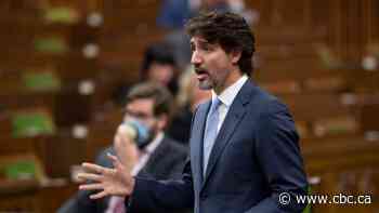 Liberal insider warned of 'potential for a scandal' in judicial appointment process