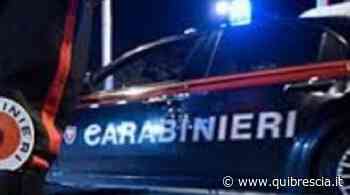 Da Parma a Borgosatollo con erba e funghi stupefacenti: arrestato - QuiBrescia