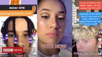 Anti-Trump TikTokkers not declaring paid content