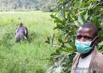 “Considerable Risk” of Human-to-Wildlife Transmission of the COVID-19 Virus