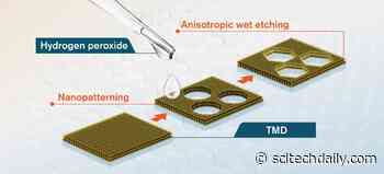 Discovery of “Magic” Chemical That Makes Perfect Edges in 2D-Materials