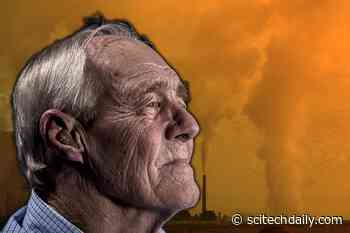 Significant Link Found Between Air Pollution and Neurological Disorders in U.S.