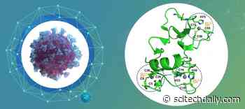 Metallodrugs: Novel Antiviral Strategy for Treatment of COVID-19