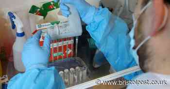 Researchers 'excited' by 'major' coronavirus breakthrough