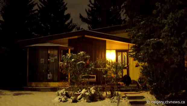 Black bear spotted dining on birdseed on porch of Calgary home