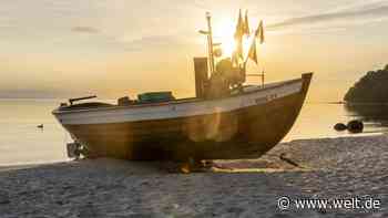 Kampf um Dorsch und Hering – Diese Regeln sollen Europas Fische retten