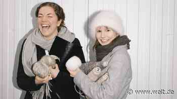 Pullover aus Hundehaaren – mindestens so weich wie Kaschmir