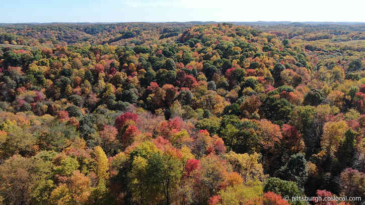Pa. Parks Fund Aiming To Raise Funds To Help Parks And Forests