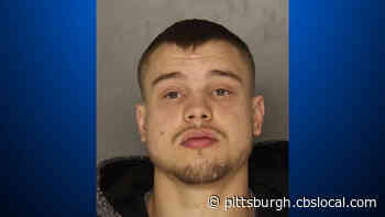 Man Pleads Guilty To Homicide By Vehicle, DUI Charges