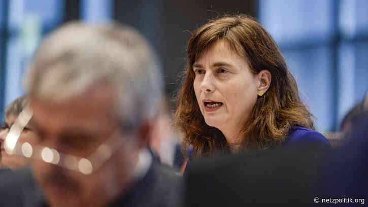 Digitale-Dienste-Gesetz: EU-Parlament will mitreden