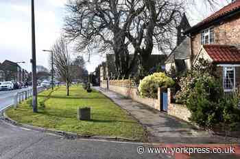 Two men receive facial injuries in group fight in Haxby