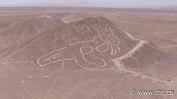 Peruvian archeologists unveil giant cat carved into Nazca Lines UNESCO site