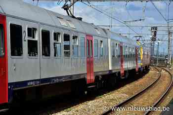Spoorloper stuurt treinverkeer in de war: treinen 45 minuten stilgelegd - Het Nieuwsblad