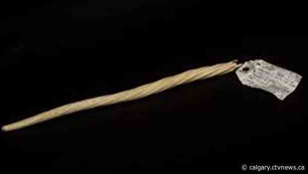 Goodwill to gift rare donated narwhal tusk to U of C's Arctic Institute of North America