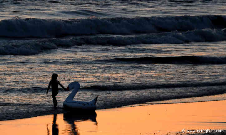 A record field of candidates vie for 3 seats on the San Clemente City Council