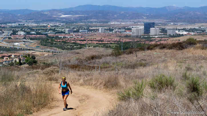 Two Irvine City Council seats sought by 14 candidates