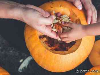 How To Roast Seeds After A Pumpkin Patch Visit In Rhode Island - East Greenwich, RI Patch