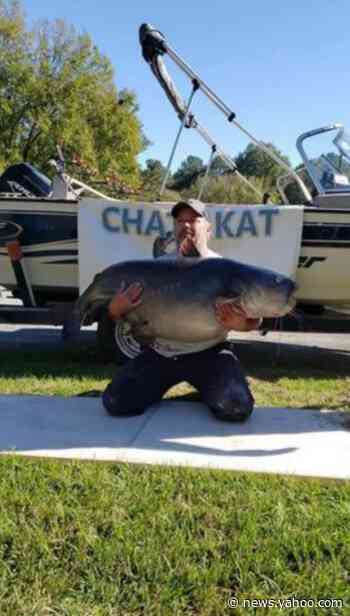 Record-setting catch of 110-pound catfish in Georgia has angler under fire. Here’s why