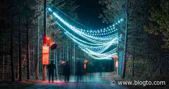 There's a magical trail covered in holiday lights near Toronto - blogTO