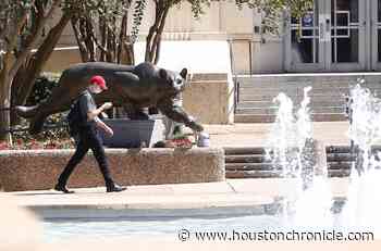Enrollment at many Houston-area colleges isn’t what experts predicted, despite COVID - Houston Chronicle
