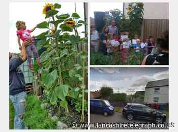 Fight to save allotment after plans go in to build three houses on it
