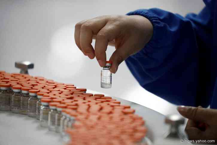 China&#39;s Sinovac vaccine to be included in Brazil&#39;s immunization program, governors say