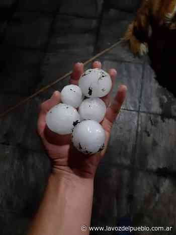Granizo en Coronel Pringles - La Voz del Pueblo