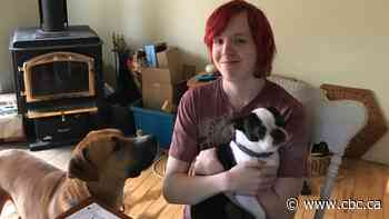 Feeling it's their only option, families take fight for school-trip refunds to court months into pandemic