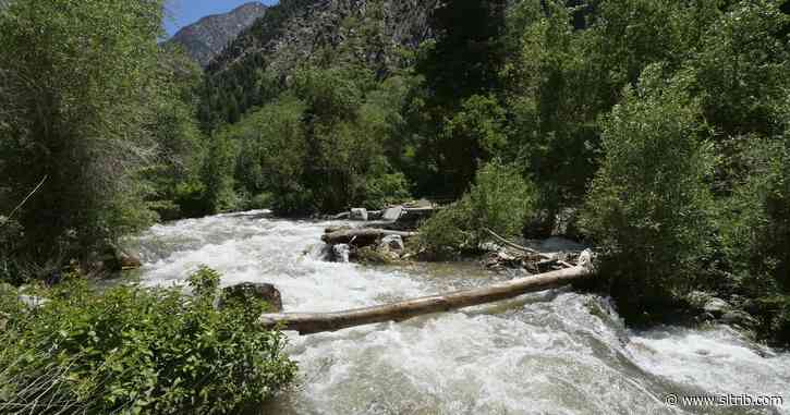 How this proposed constitutional amendment — Amendment D — protects water users