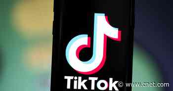 TikTok pledges to do more to fight hateful content     - CNET