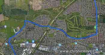 Month-long overnight roadworks set to begin on the A1 in Newcastle