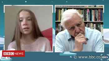 Sir David Attenborough says Covid-19 is 'threat to environment'