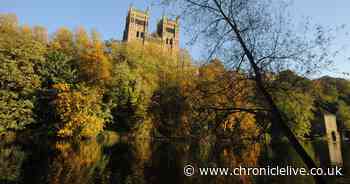 In pictures : The stunning colours of autumn in County Durham