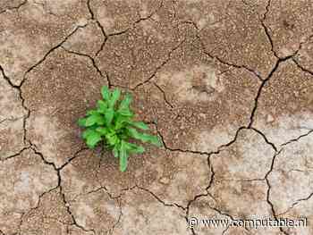 Andere kijk op veerkrachtige security