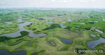 Saskatchewan Party, NDP empty on policy details for wetlands: Citizens group