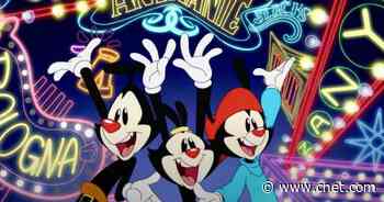 Hulu's The Animaniacs debuts zany new trailer and November release date     - CNET