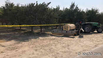 Homicide detectives investigating after body found in Fresno County orchard
