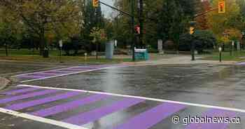 London, Ont., crosswalks painted purple for 11th annual Shine the Light campaign