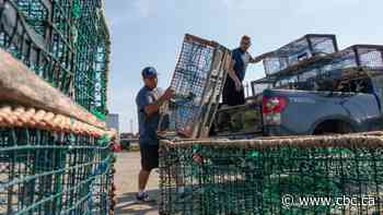 Judge issues injunction to end interference, threats against Sipekne'katik fishery