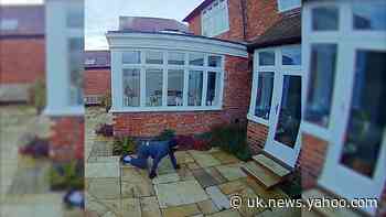 Cat burglar comes face-to-face with homeowner’s cat during raid