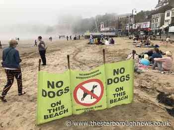 Councillors back extension to seasonal dog ban on Scarborough and Whitby area's beaches - The Scarborough News