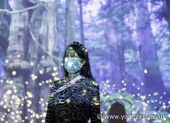 Trio of exhibits at York Art Gallery explore human nature