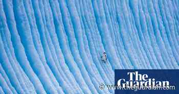 Antarctica: an ecosystem under threat - in pictures